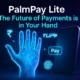 palm pay